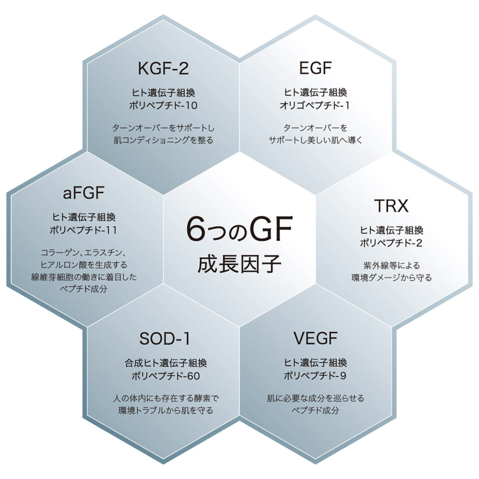 NMN 6つの成長因子