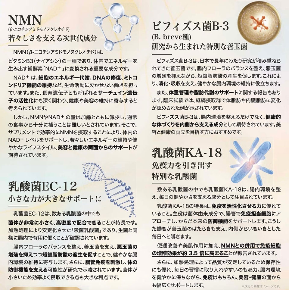 nmnrenage24000 NMN renage PLATINUM 24000に配合された成分の紹介